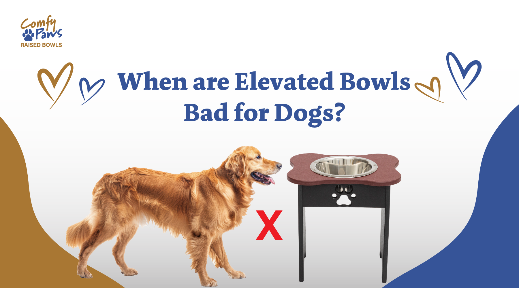 An application scenario or product detail of do elevated dog bowls cause bloat - Image 11