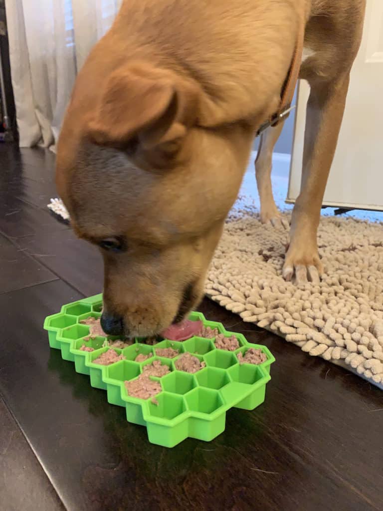 An application scenario or product detail of do slow feeders work for dogs - Image 3