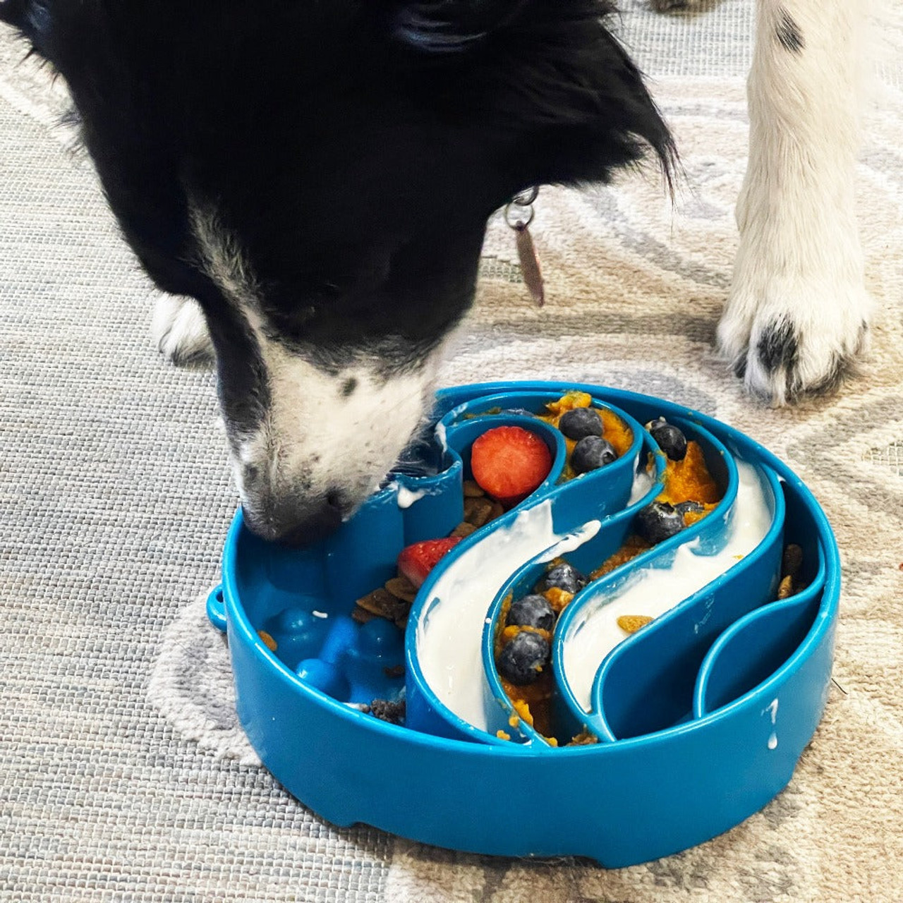 An application scenario or product detail of do slow feeders work for dogs - Image 13