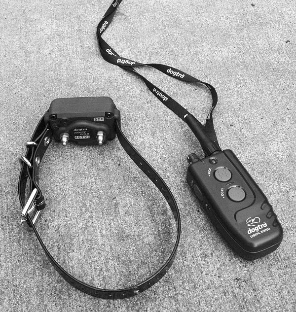 An application scenario or product detail of do vets recommend shock collars - Image 7