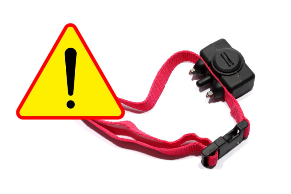 An application scenario or product detail of do vets recommend shock collars - Image 18