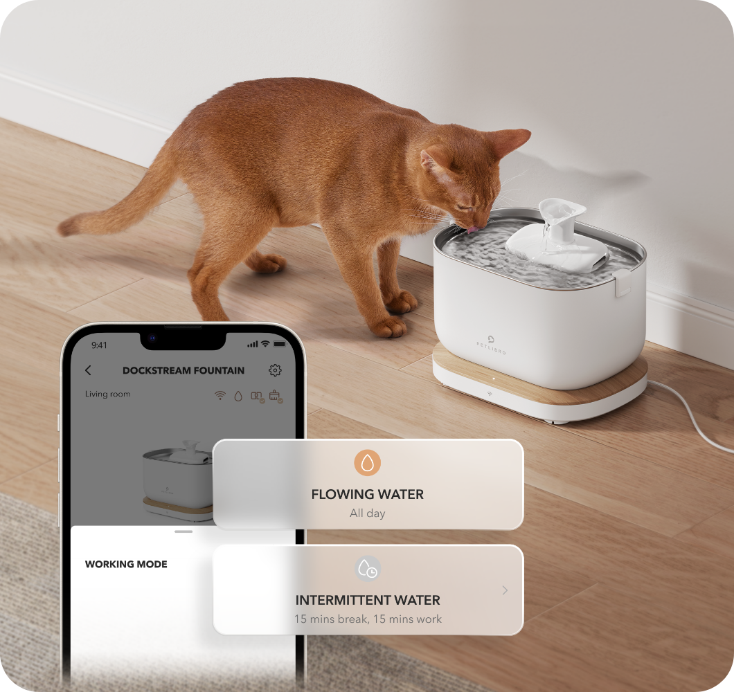 An application scenario or product detail of dockstream smart fountain - Image 14