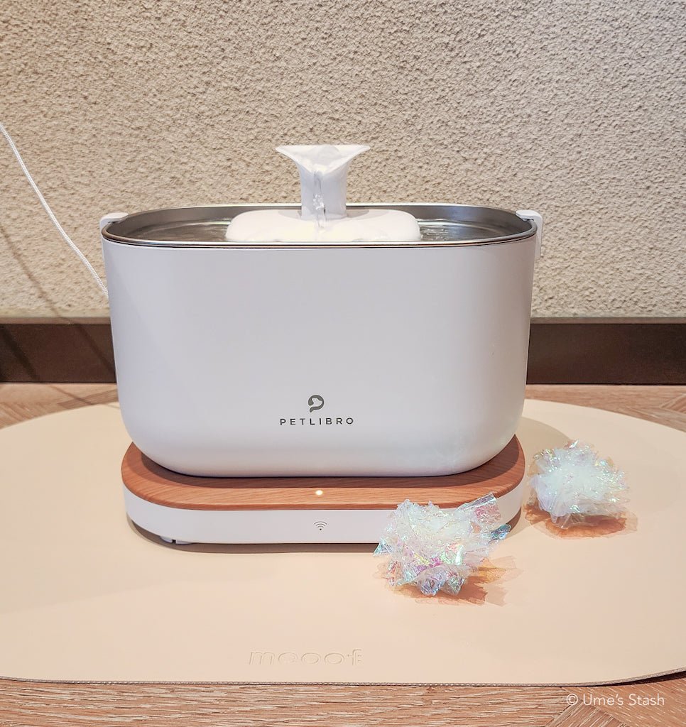 An application scenario or product detail of dockstream smart fountain - Image 17