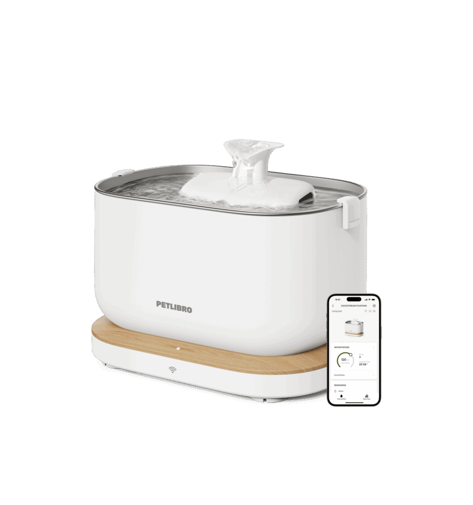 Featured image for the dockstream smart fountain guide