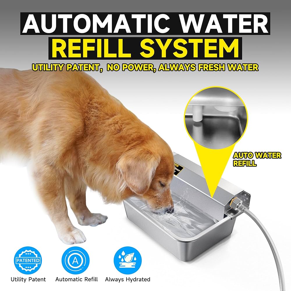 An application scenario or product detail of dog auto water dispenser - Image 6