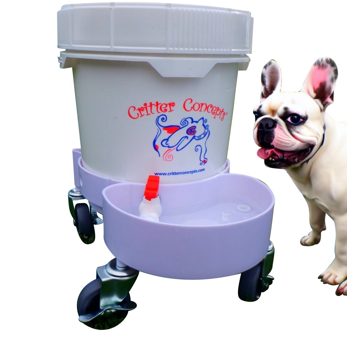An application scenario or product detail of dog auto water dispenser - Image 10