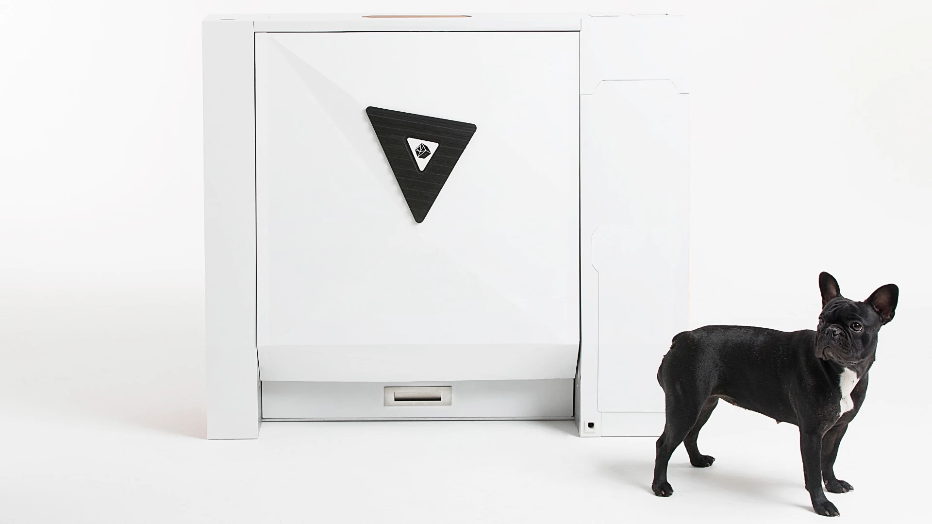 An application scenario or product detail of dog automatic - Image 16