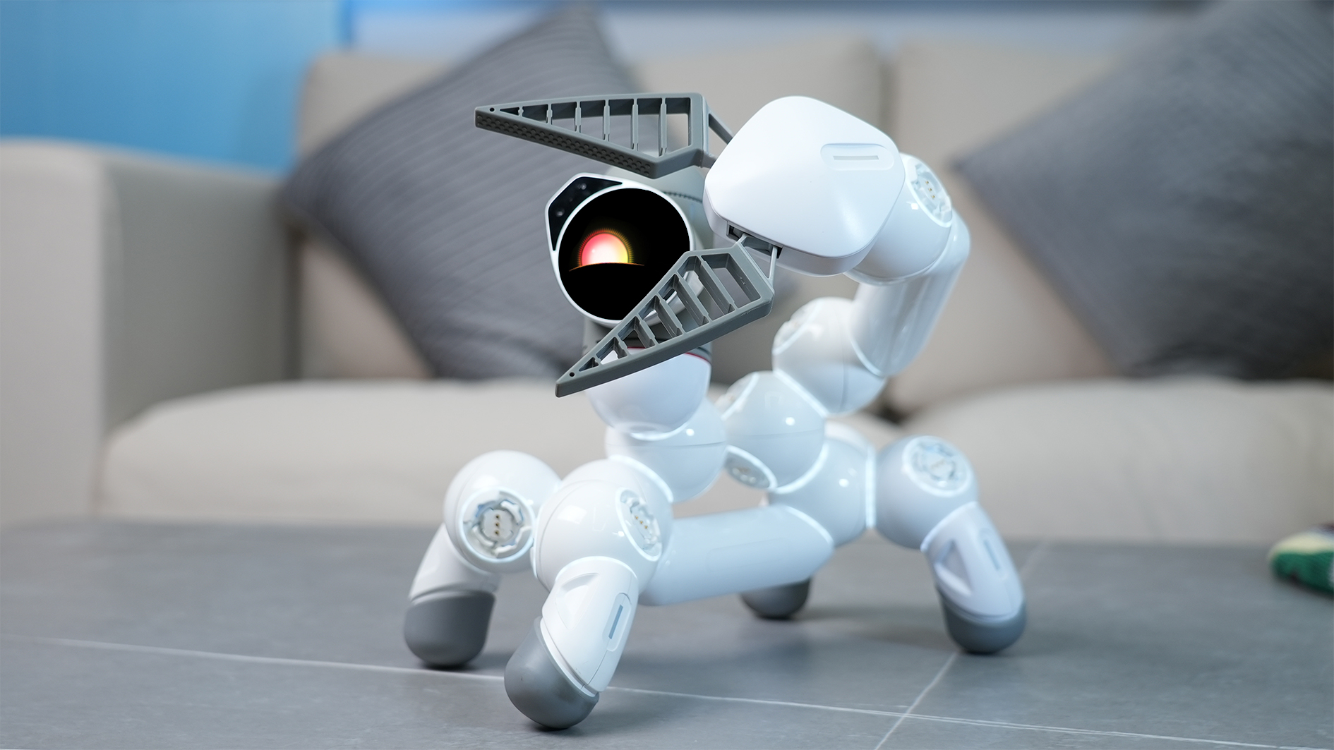 An application scenario or product detail of dog automatic - Image 20