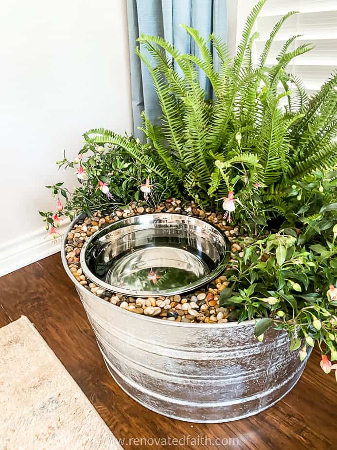 An application scenario or product detail of dog bowl with plants around it - Image 5