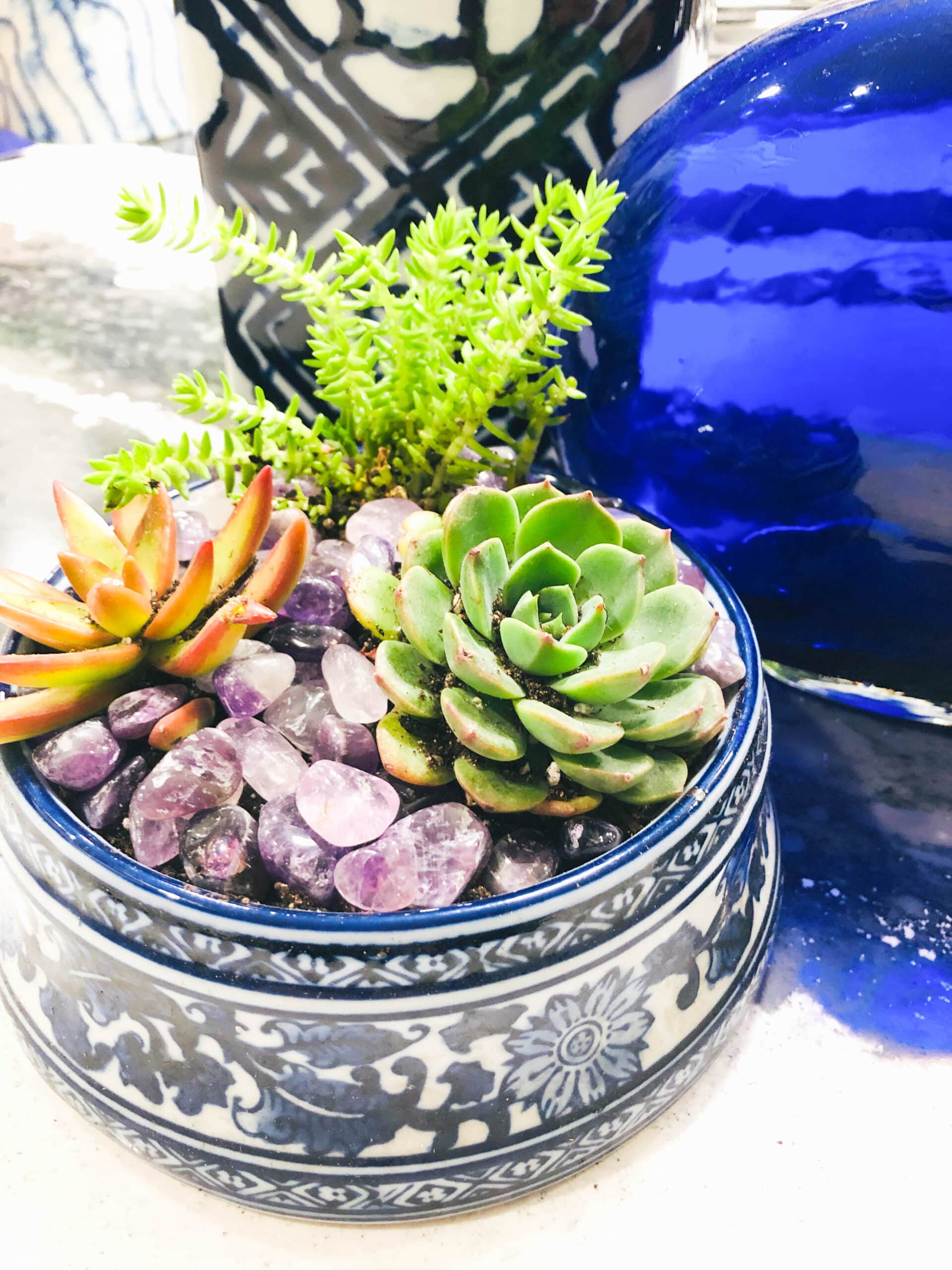 An application scenario or product detail of dog bowl with plants around it - Image 7