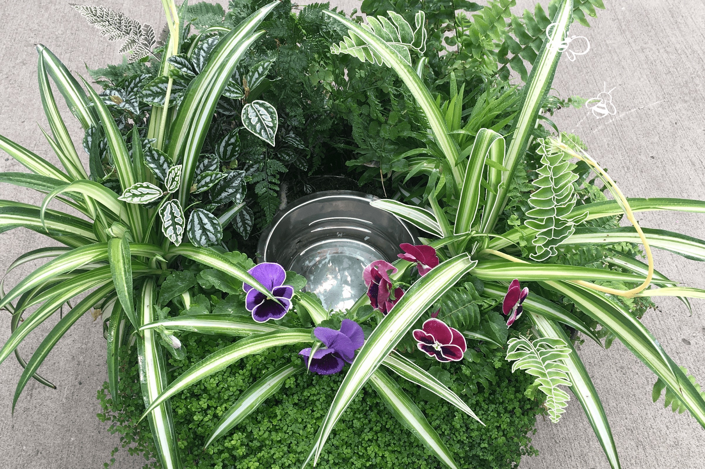 An application scenario or product detail of dog bowl with plants around it - Image 14