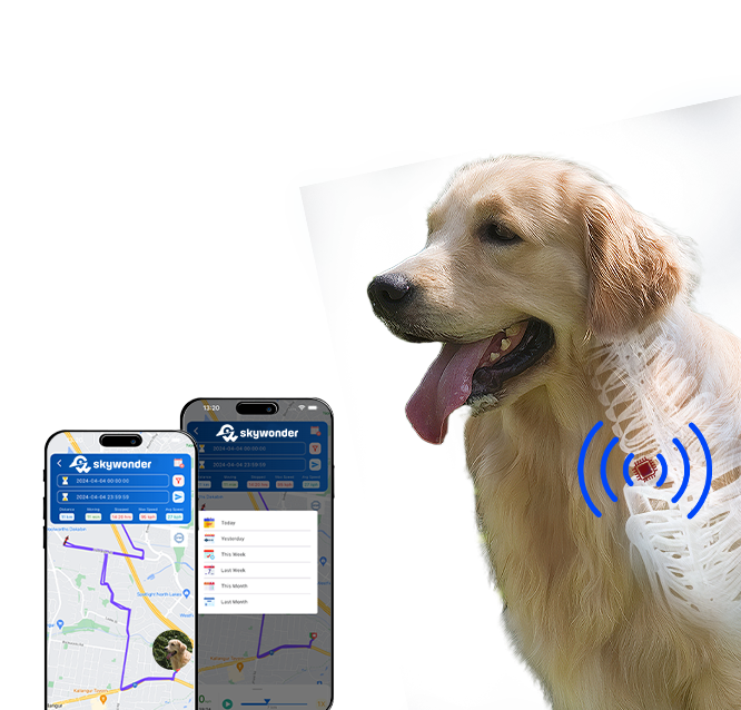An application scenario or product detail of dog chip with tracker - Image 11