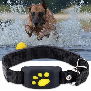 An application scenario or product detail of dog chip with tracker - Image 15