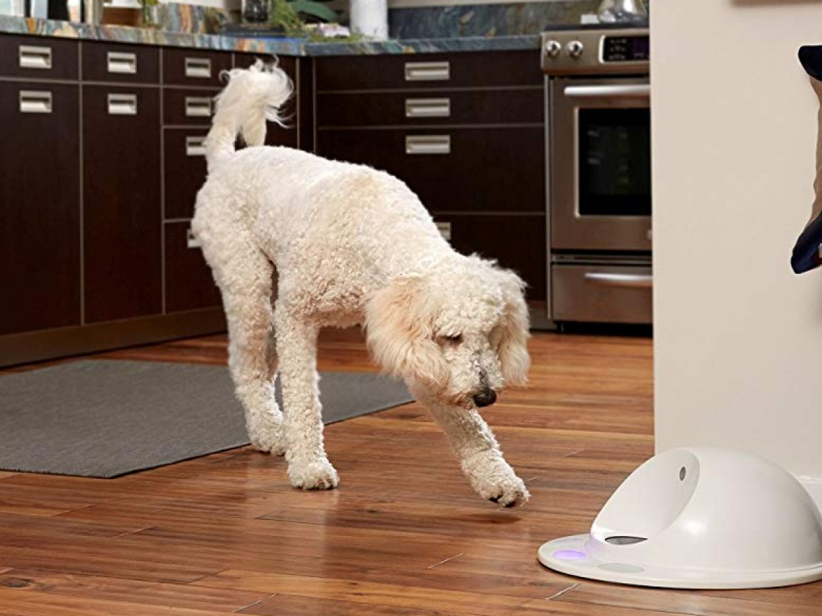 An application scenario or product detail of dog dispenser - Image 21