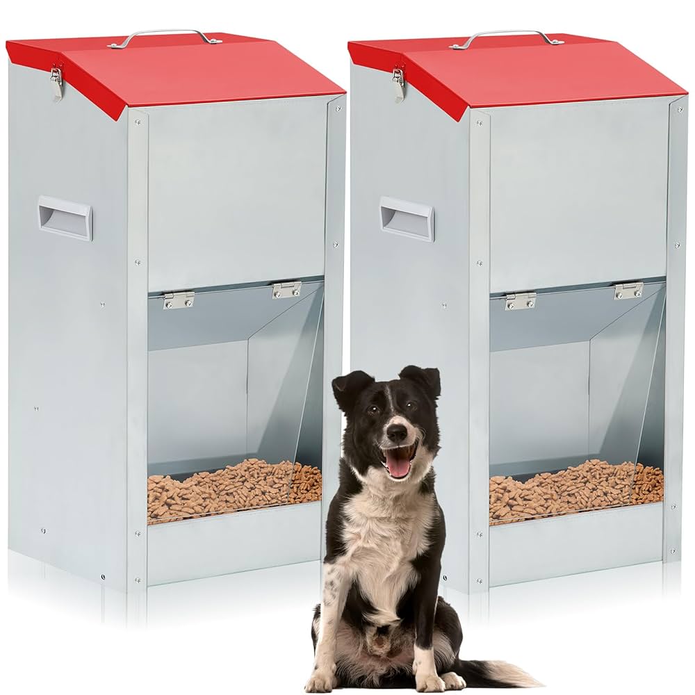 An application scenario or product detail of dog dispenser food - Image 15