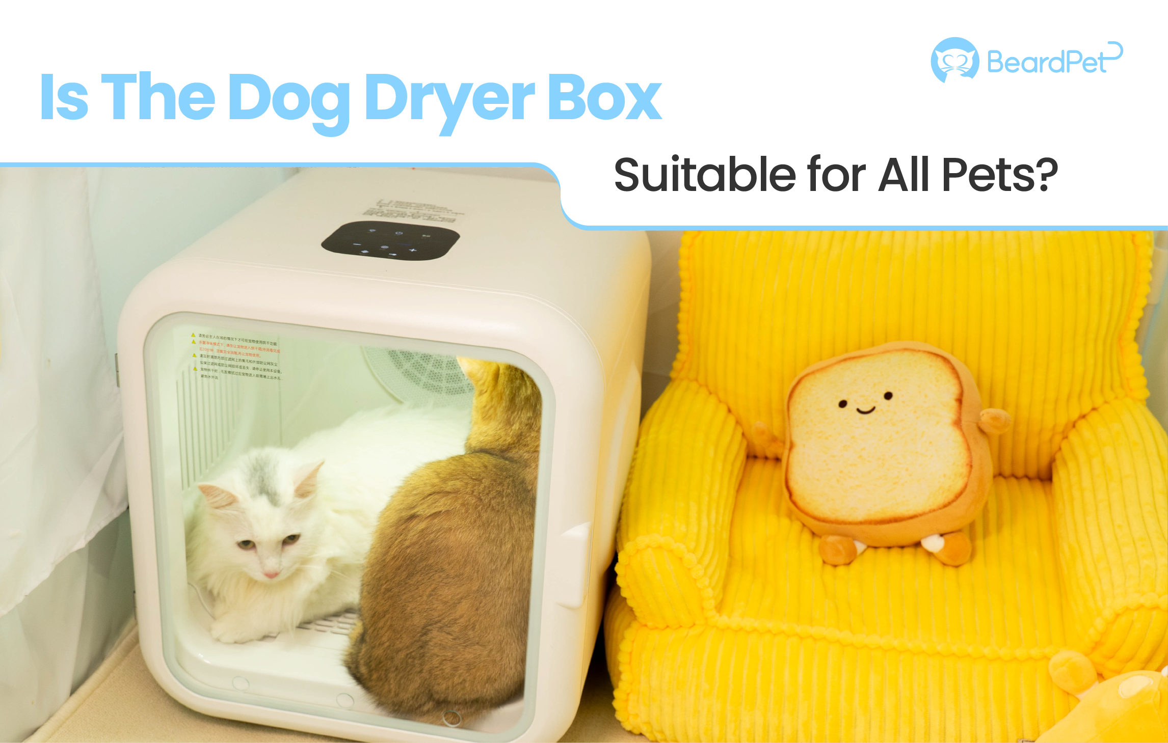 An application scenario or product detail of dog dry box - Image 3