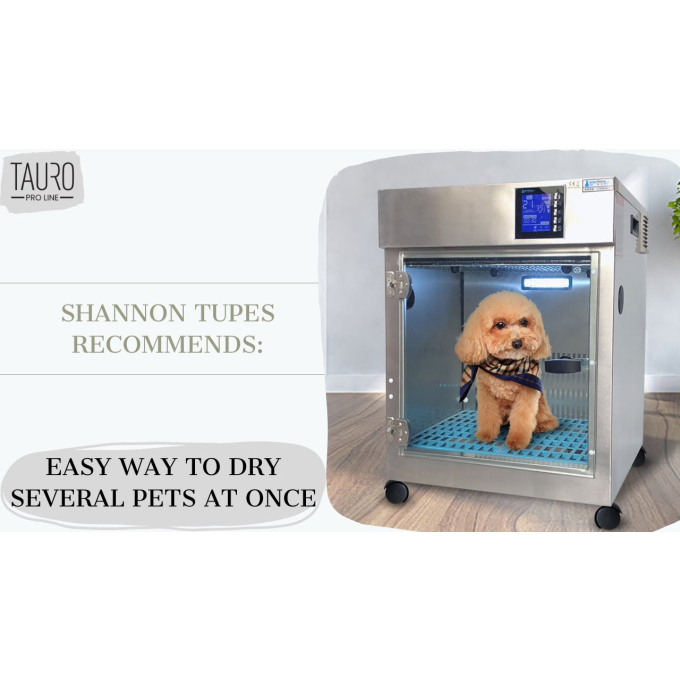 An application scenario or product detail of dog dry box - Image 11