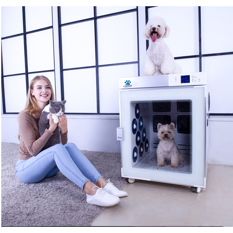 An application scenario or product detail of dog dry box - Image 13