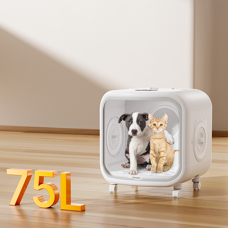 An application scenario or product detail of dog dry box - Image 22