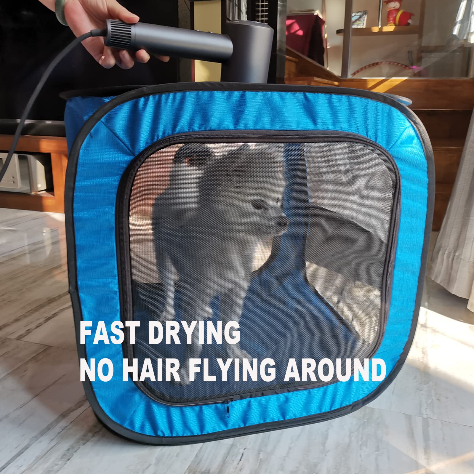 An application scenario or product detail of dog dry box - Image 23