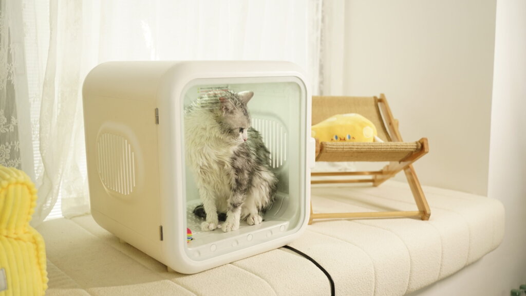 Featured image for the dog dry box guide