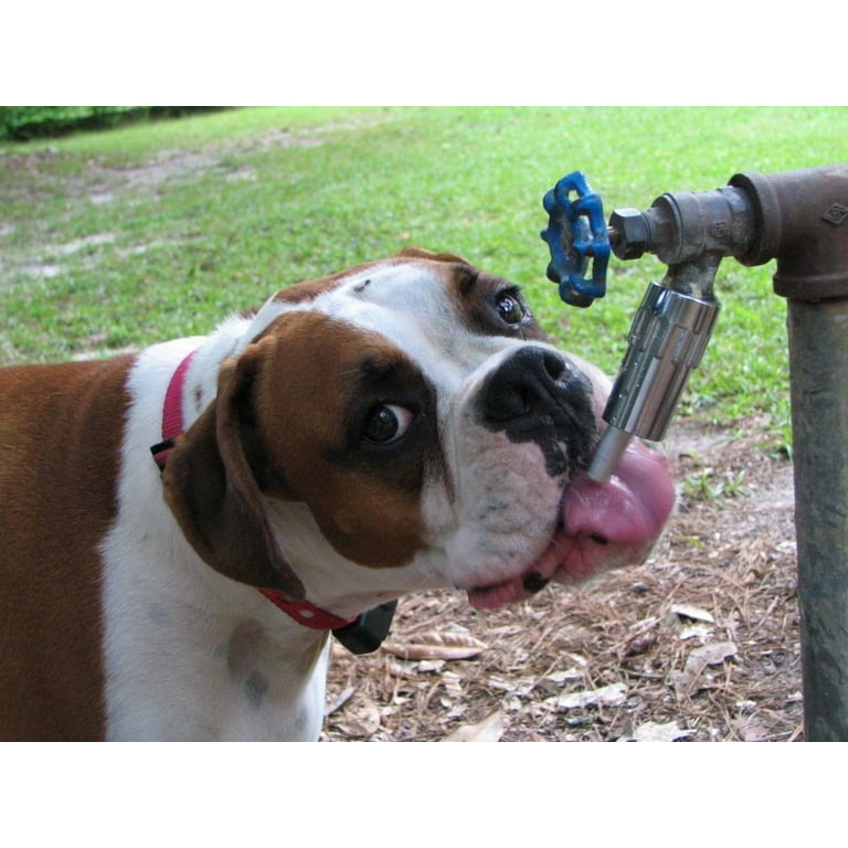 An application scenario or product detail of dog faucet waterer - Image 6