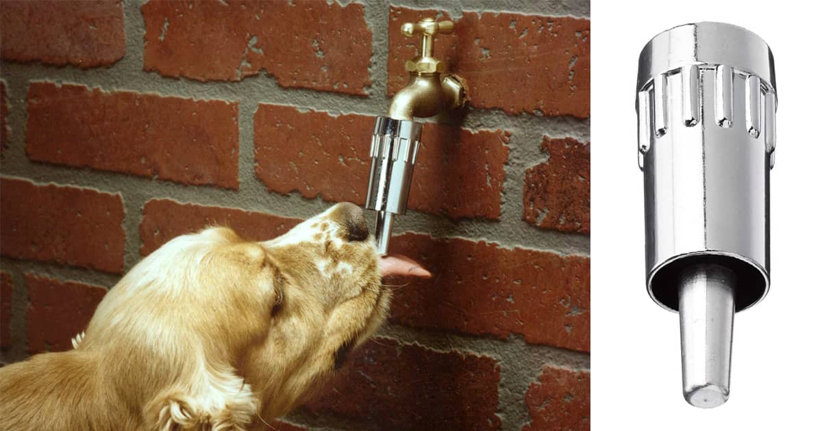 An application scenario or product detail of dog faucet waterer - Image 7