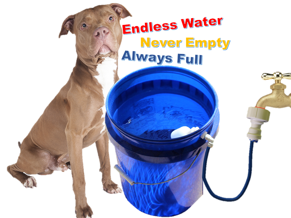 An application scenario or product detail of dog faucet waterer - Image 12