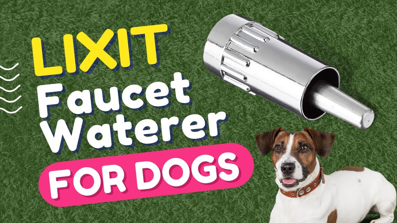 An application scenario or product detail of dog faucet waterer - Image 18