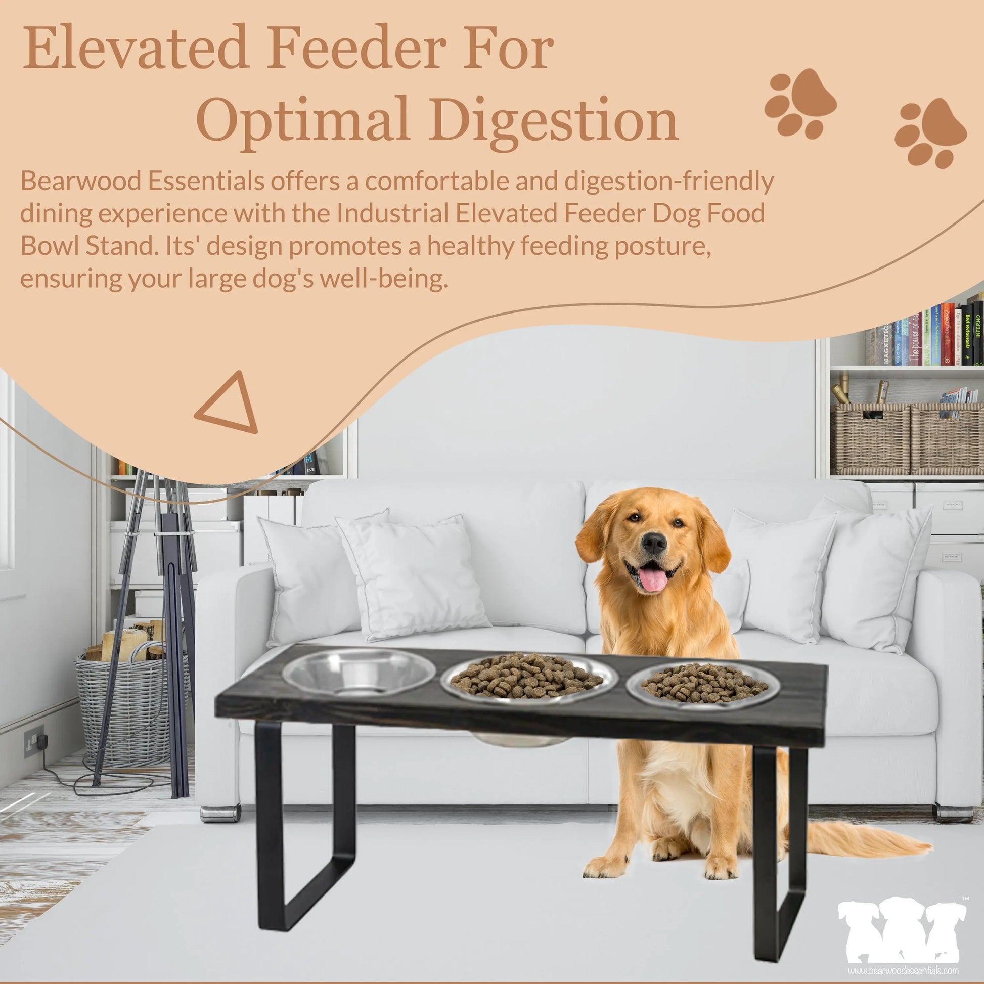 An application scenario or product detail of dog feeder stands - Image 9