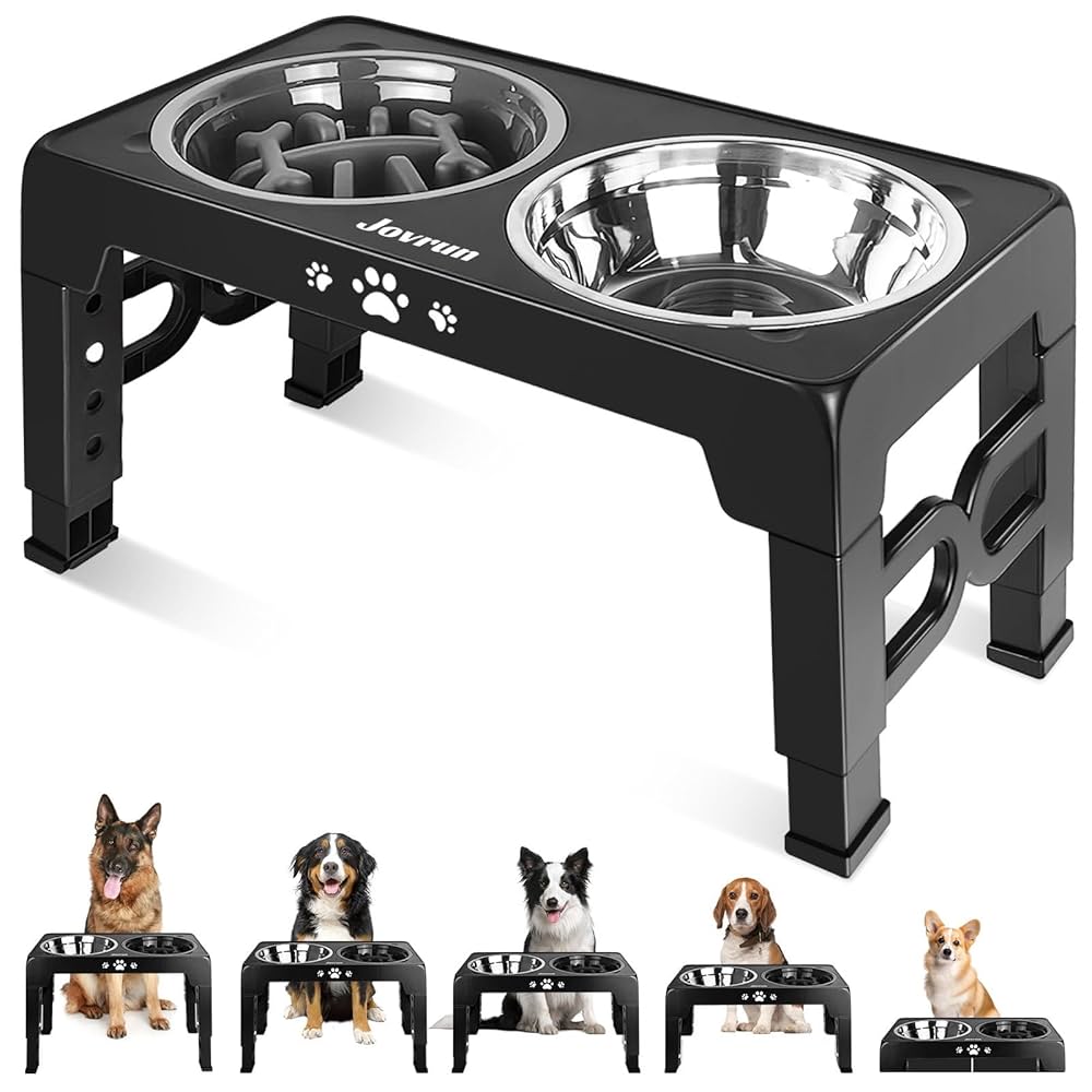 An application scenario or product detail of dog feeder stands - Image 10