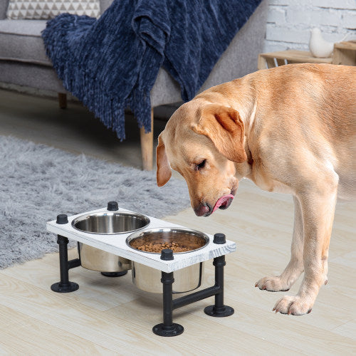 Featured image for the dog feeder stands guide
