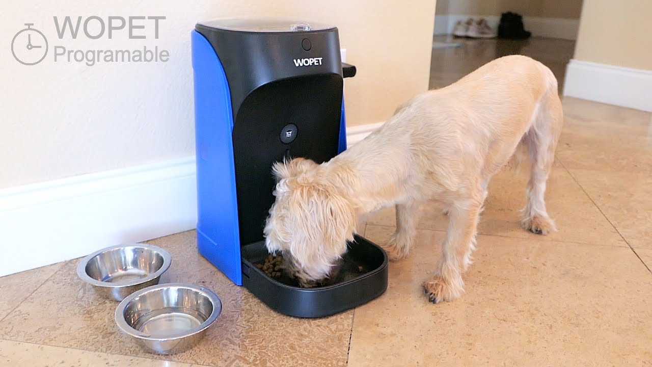 An application scenario or product detail of dog feeder timed - Image 14