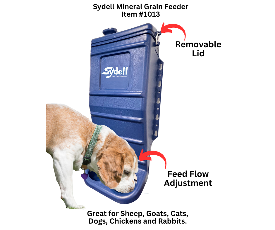 An application scenario or product detail of dog feeder with lever - Image 11