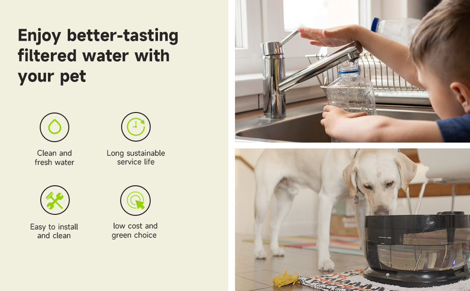 An application scenario or product detail of dog filtered water - Image 10