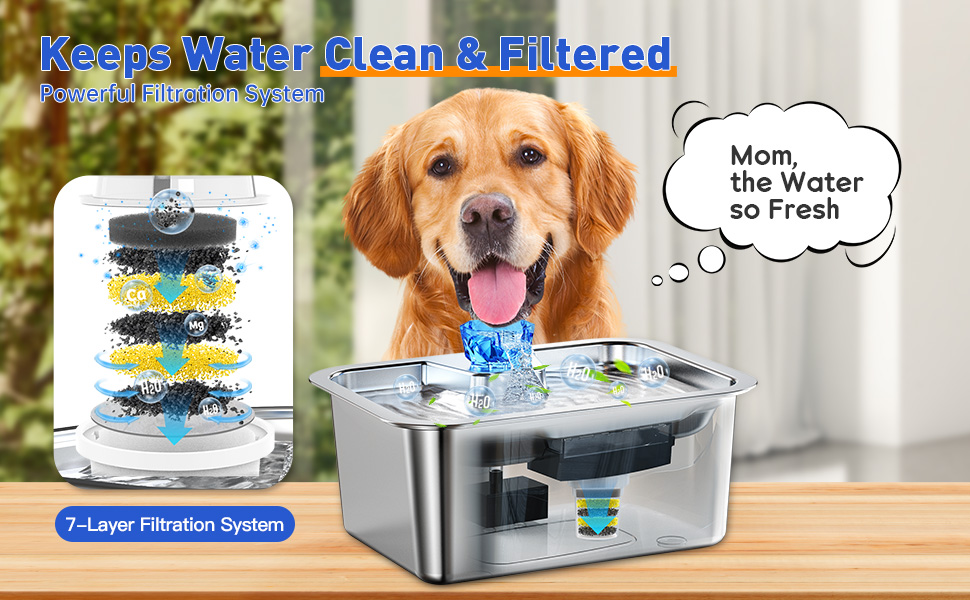An application scenario or product detail of dog filtered water - Image 15
