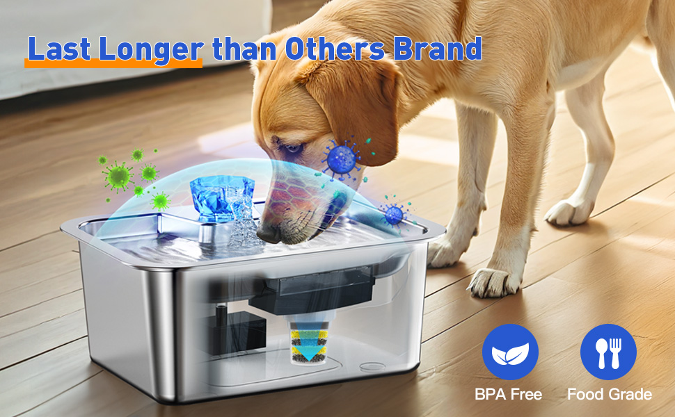 An application scenario or product detail of dog filtered water - Image 19