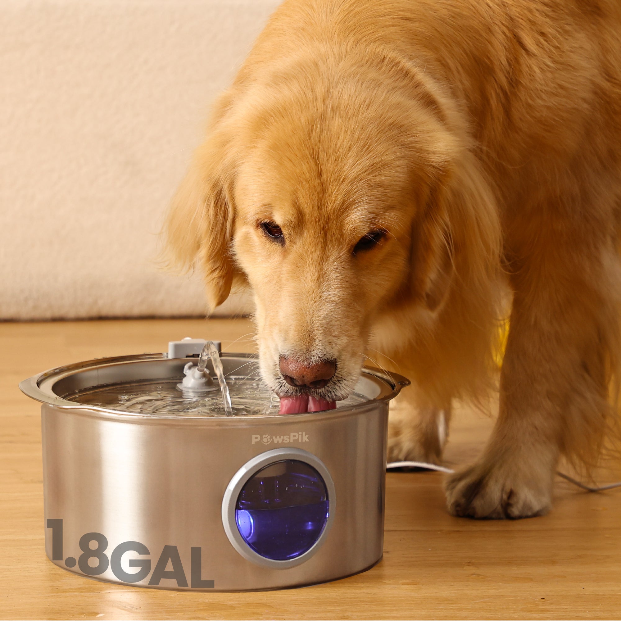 An application scenario or product detail of dog filtered water fountain - Image 10