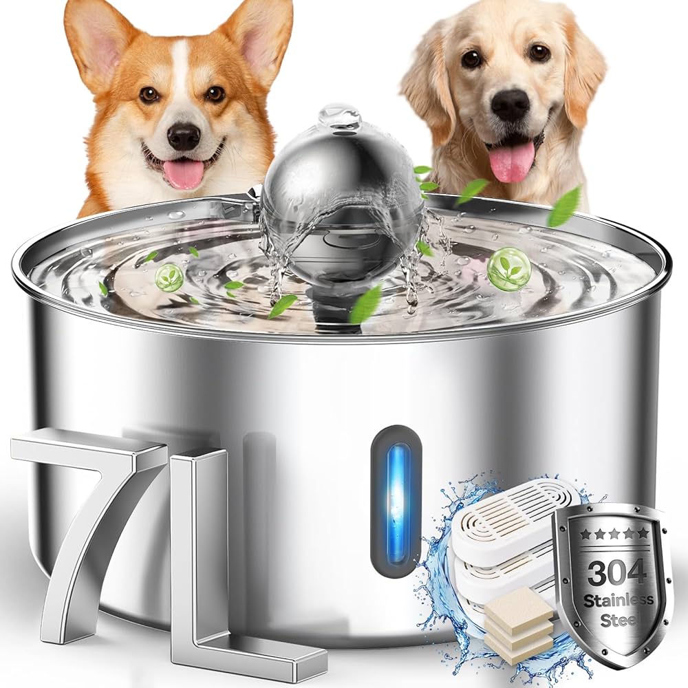 An application scenario or product detail of dog filtered water fountain - Image 15