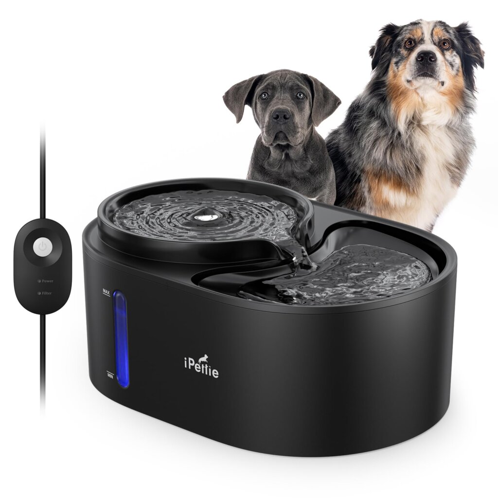 Featured image for the dog filtered water fountain guide