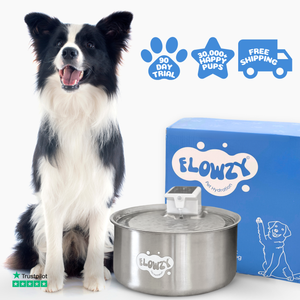 An application scenario or product detail of dog flowing water bowl - Image 5