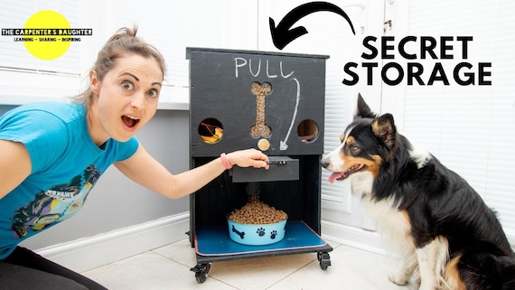 An application scenario or product detail of dog food feeders - Image 15