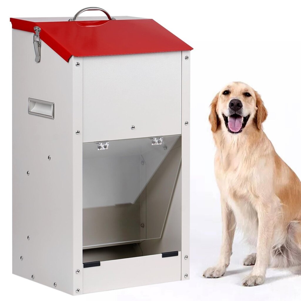 Featured image for the dog food feeders guide