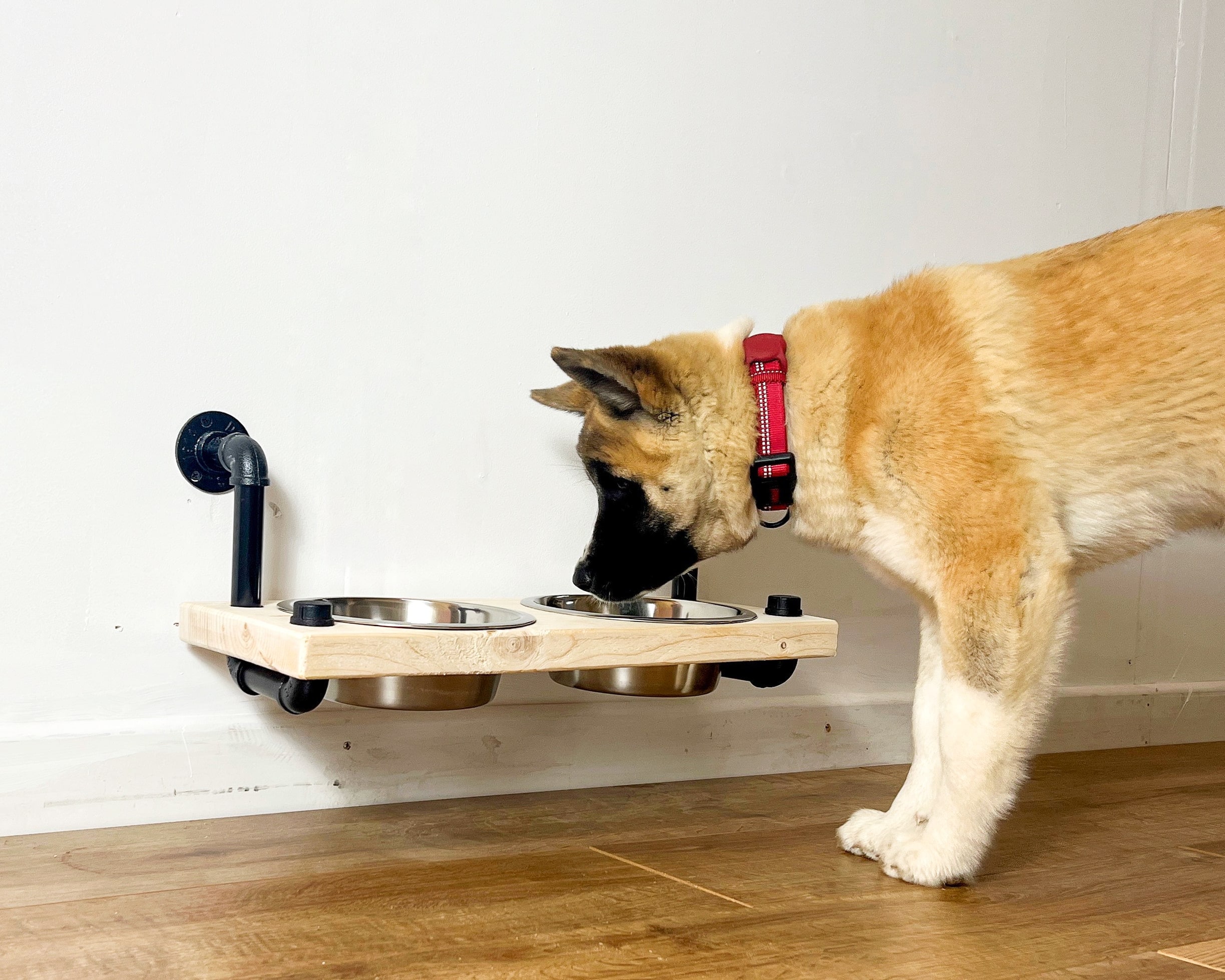 An application scenario or product detail of dog food holder and feeder - Image 13