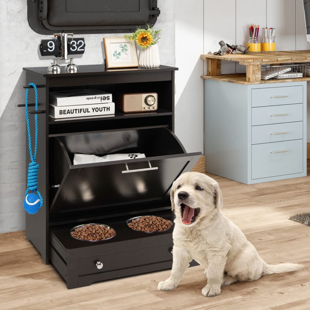 Featured image for the dog food storage and feeder guide