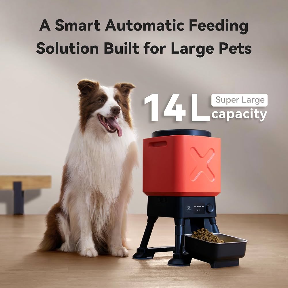 An application scenario or product detail of dog food time dispenser - Image 16