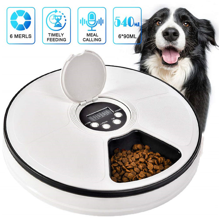 An application scenario or product detail of dog food timer feeder - Image 10