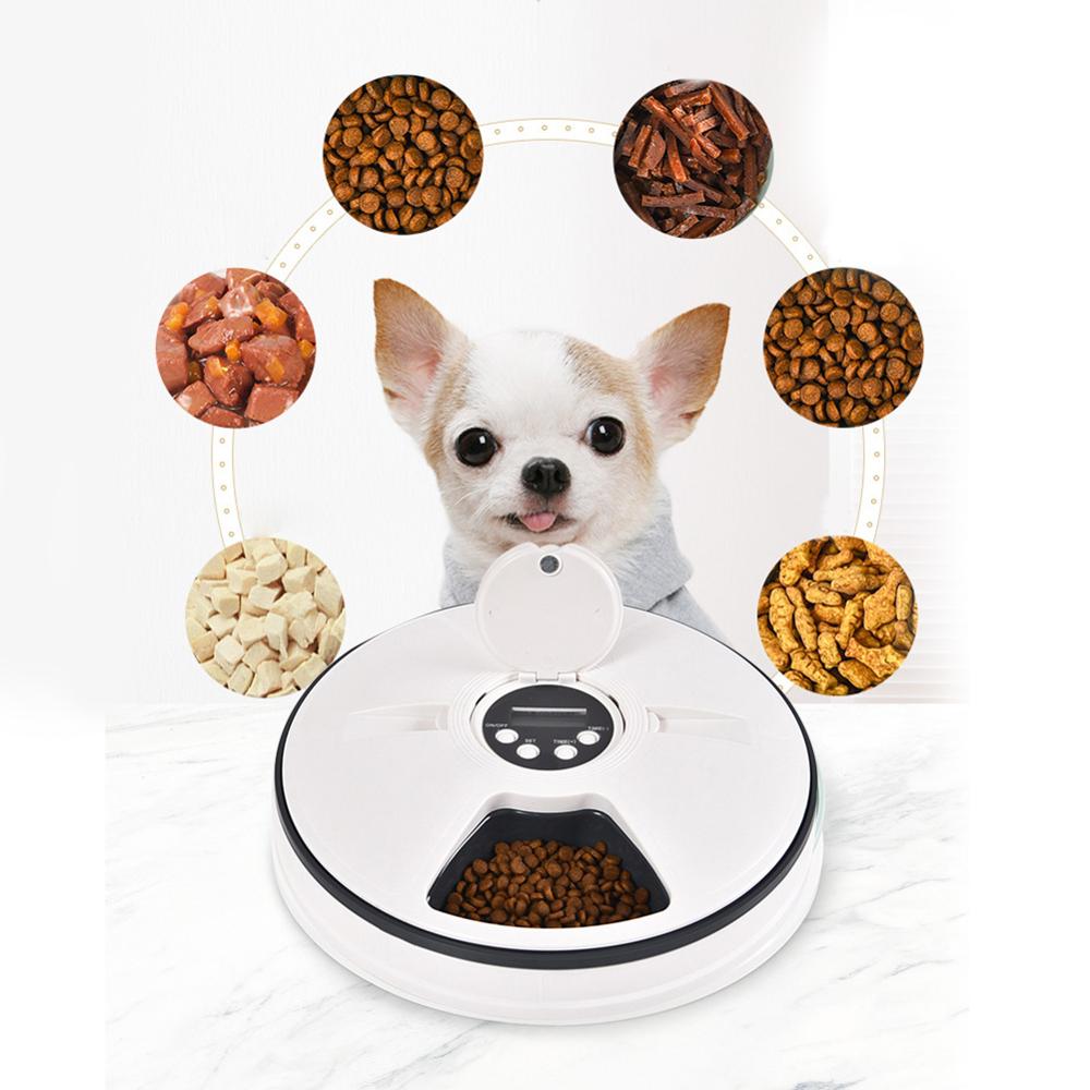An application scenario or product detail of dog food timer feeder - Image 21