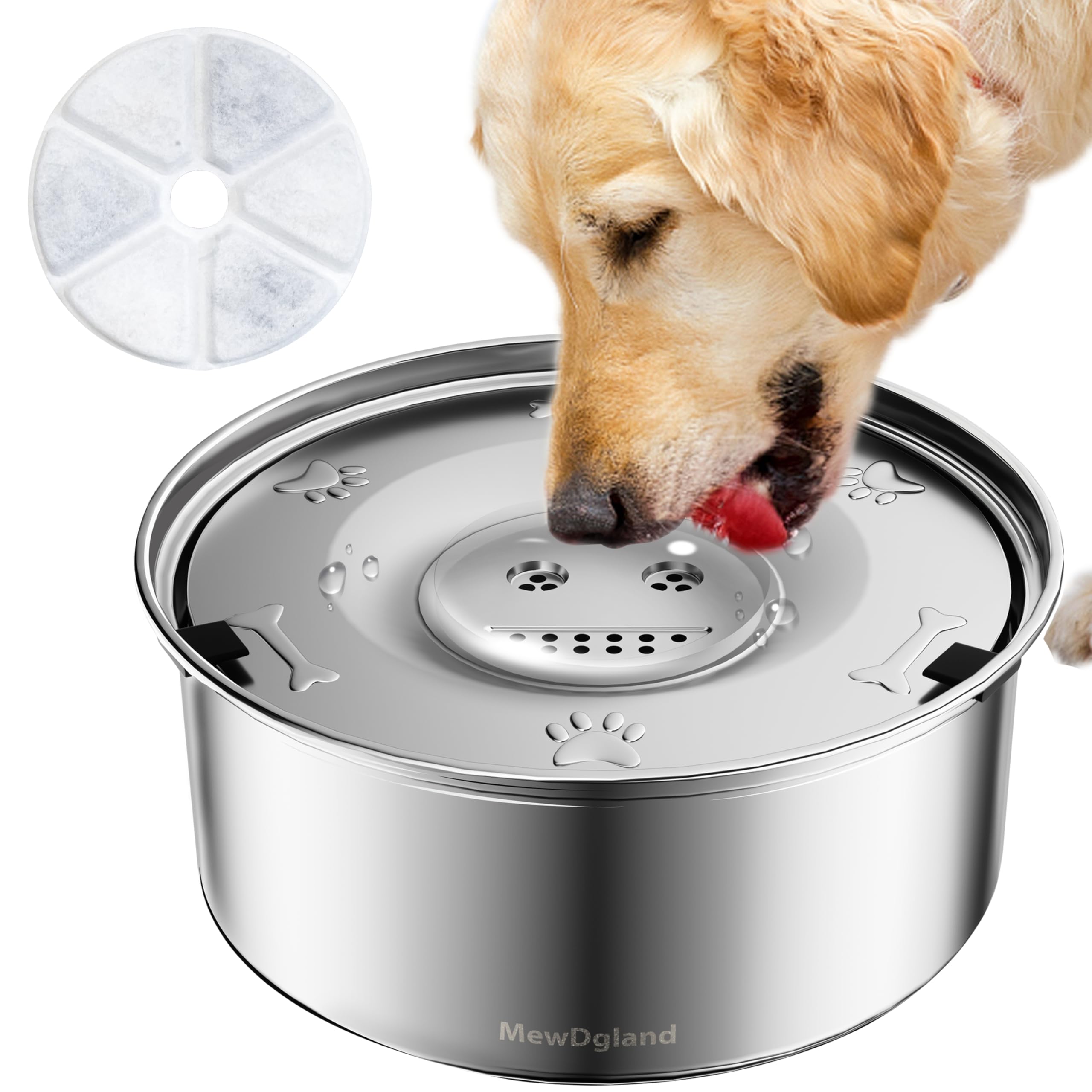 An application scenario or product detail of dog fresh water bowl - Image 12