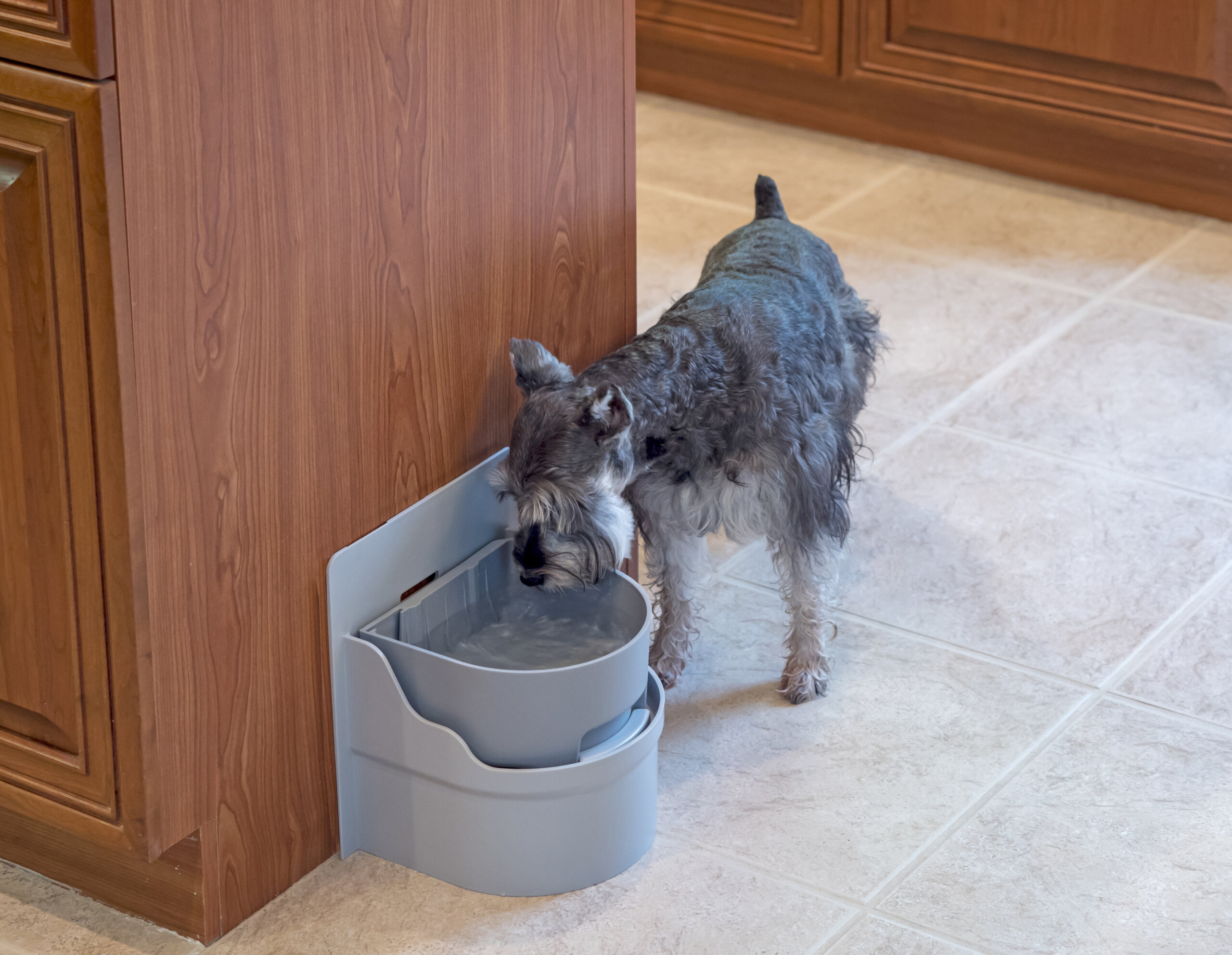 An application scenario or product detail of dog fresh water bowl - Image 18